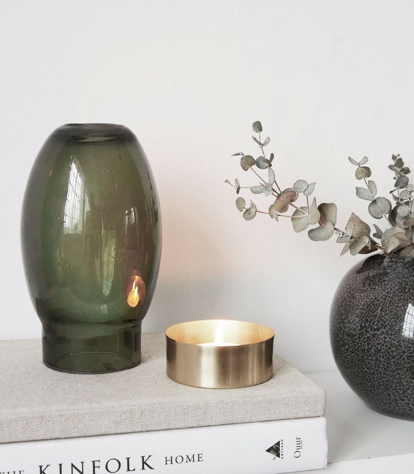 photophore mushroom 3 photophore mushroom – image 3