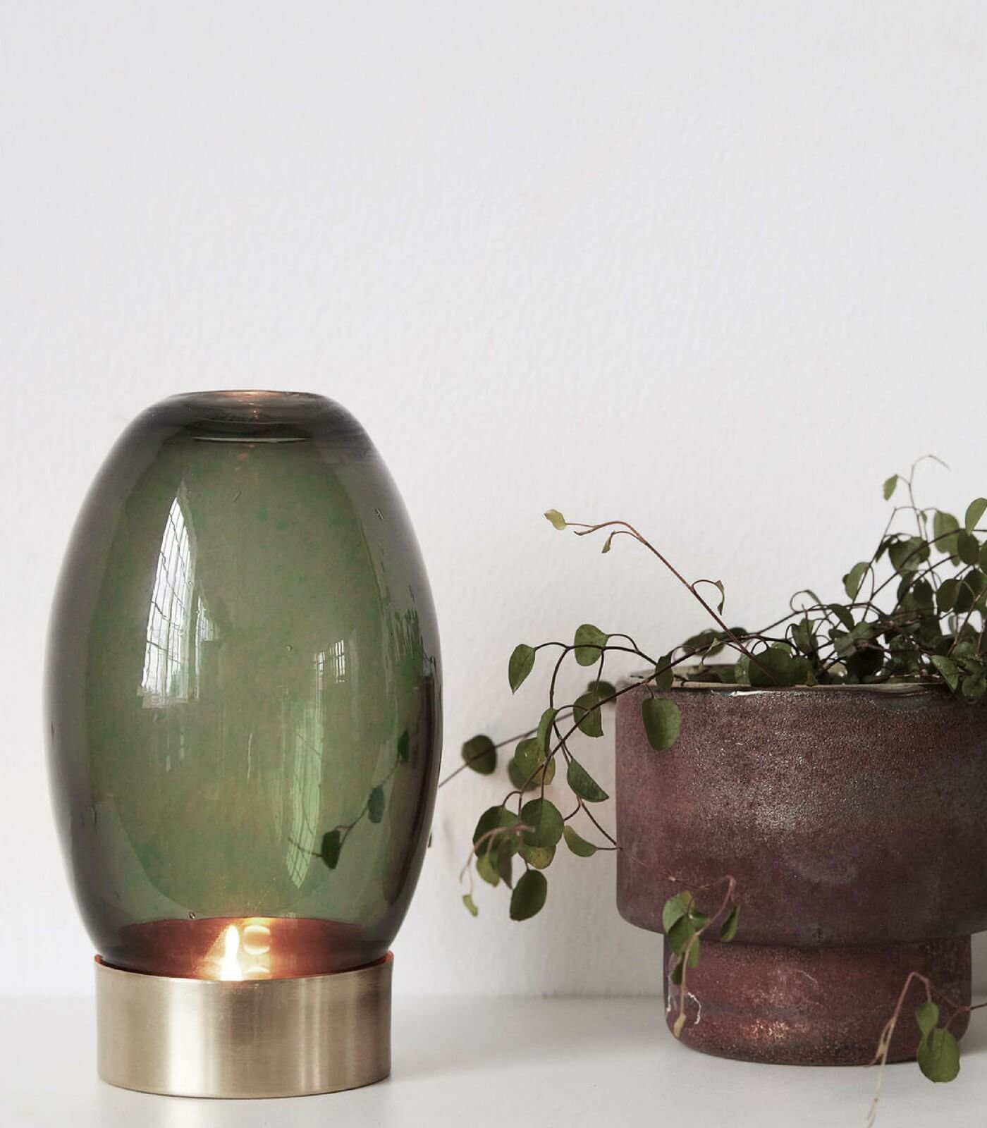 photophore mushroom 4 photophore mushroom – image 4