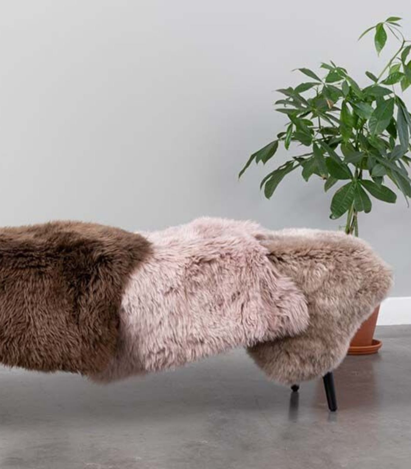 peau de mouton shirly - taupe 2 peau de mouton shirly - taupe – image 2