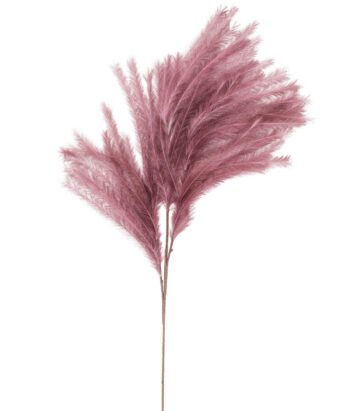 Plumes I will never fade flower - Aubergine - XL