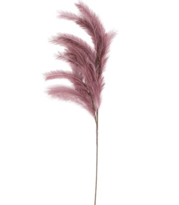 Plumes I will never fade flower - Aubergine - M