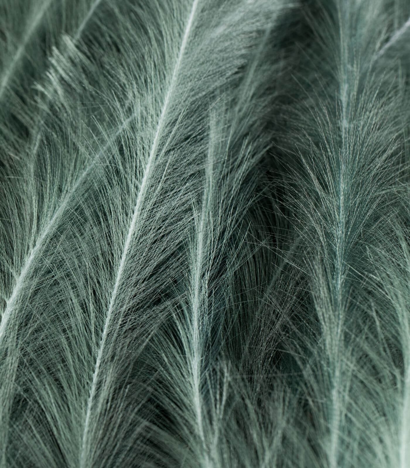 plumes i will never fade flower - vert - l 4 plumes i will never fade flower - vert - l – image 4
