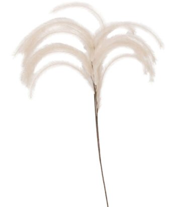 Plumes I will never fade flower - Ivoire - L