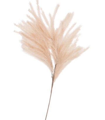 Plumes I will never fade flower - Ivoire - XL