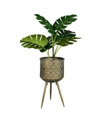 Cache-pots Botanique - L