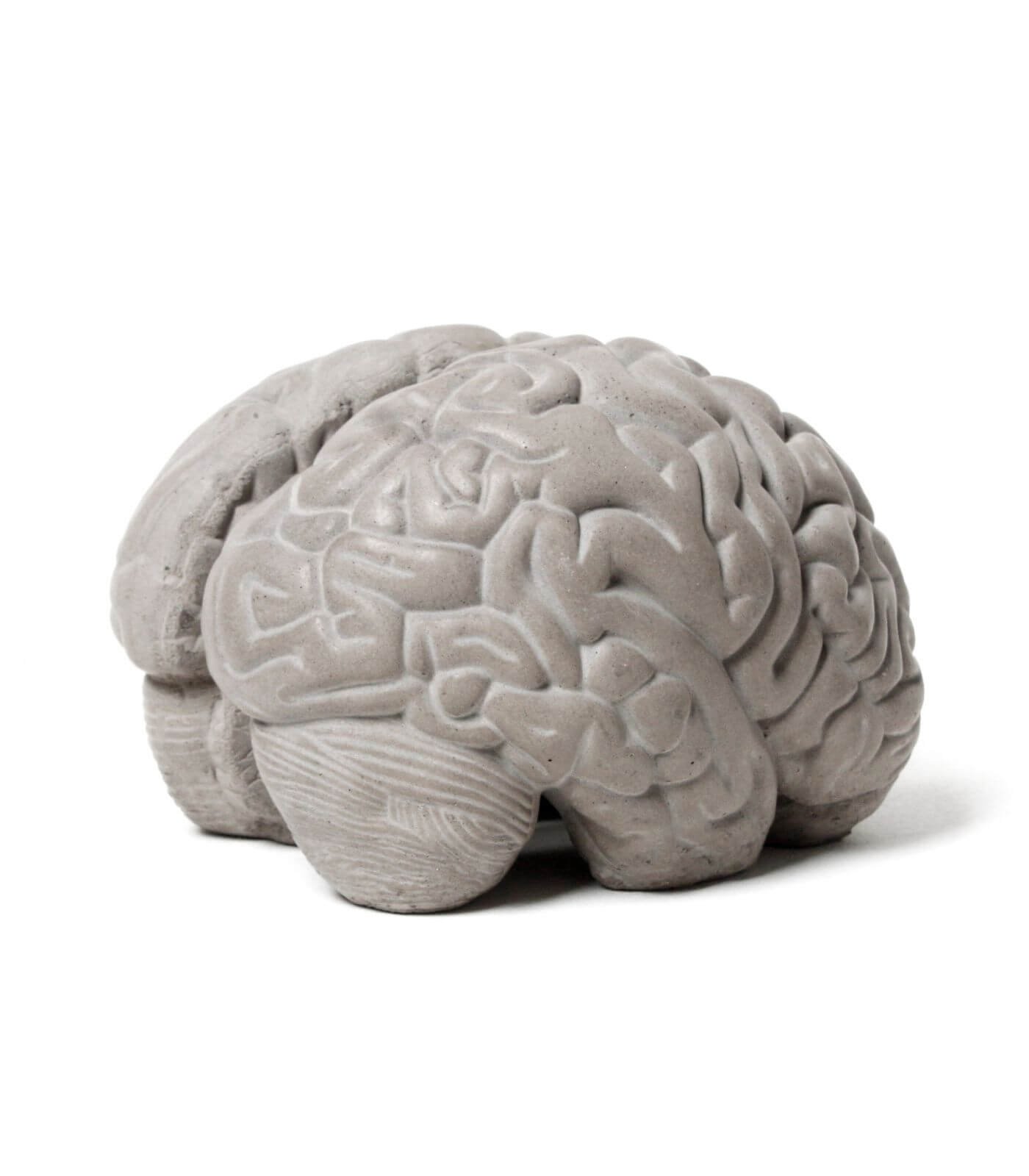 serre livres low tech - gray matters - lyon beton 1 serre livres low tech - gray matters - lyon beton