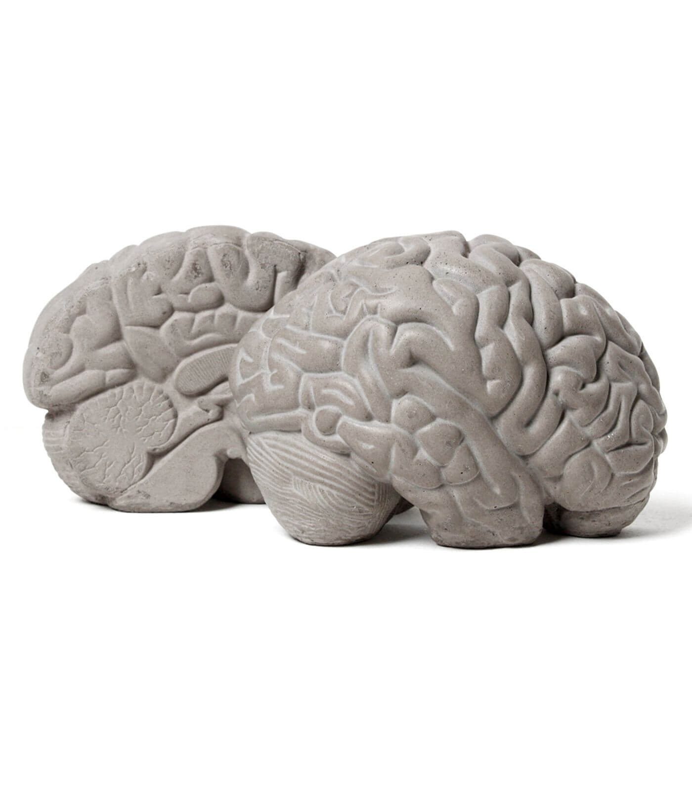 serre livres low tech - gray matters - lyon beton 3 serre livres low tech - gray matters - lyon beton – image 3