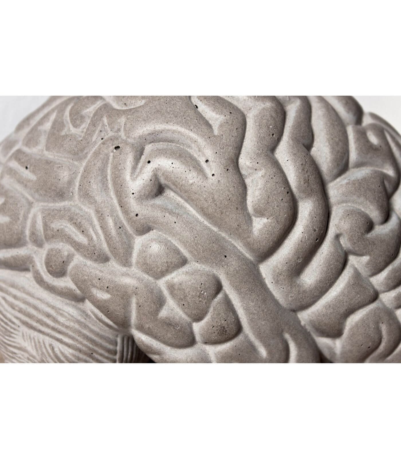 serre livres low tech - gray matters - lyon beton 5 serre livres low tech - gray matters - lyon beton – image 5