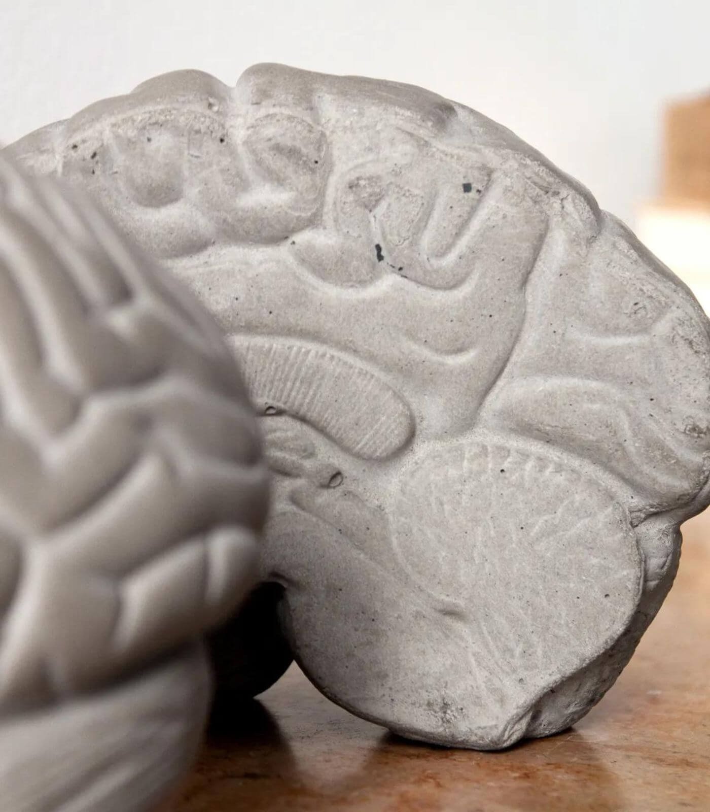 serre livres low tech - gray matters - lyon beton 6 serre livres low tech - gray matters - lyon beton – image 6