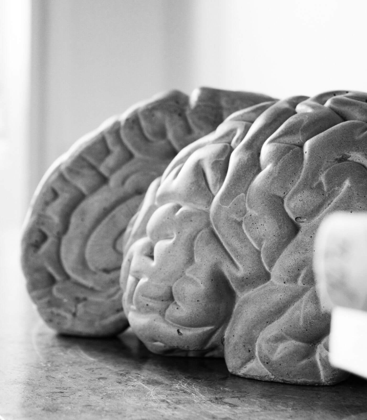 serre livres low tech - gray matters - lyon beton 8 serre livres low tech - gray matters - lyon beton – image 8