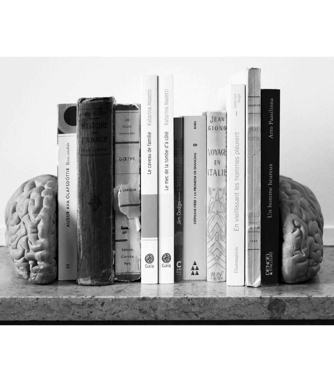 serre livres low tech - gray matters - lyon beton 11 serre livres low tech - gray matters - lyon beton – image 11