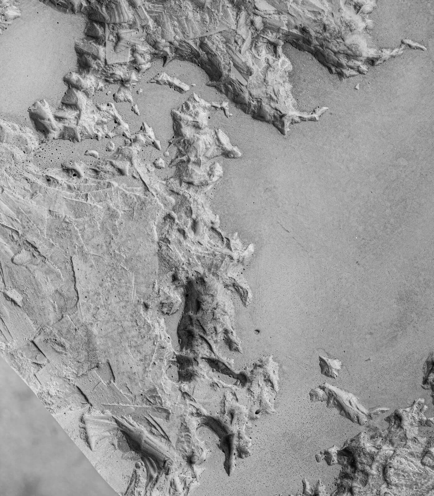 art urbain - the grey planet - lyon beton 11 art urbain - the grey planet - lyon beton – image 11